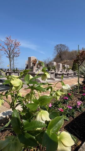 �繥ɾ���ե롼�����