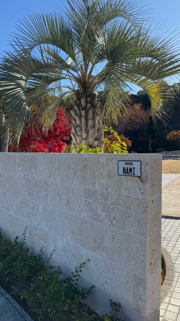 『花 波〜美ら花の杜』(^^)/