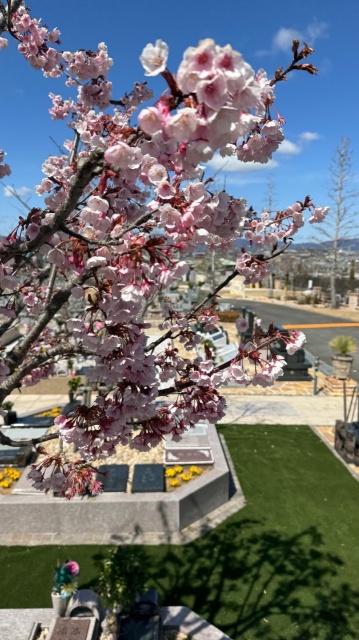 ���嶡����ؼ�����ٺ�