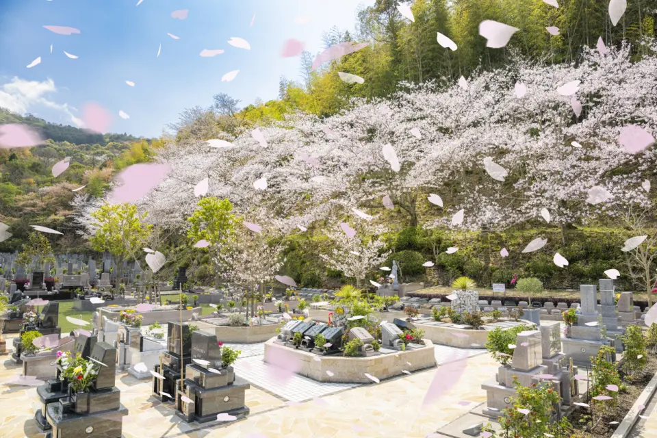 永代供養墓『樹木葬』桜への参道(⋈◍>◡<◍)。✧♡