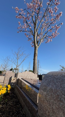 プレミアムガーデン!(^^)!