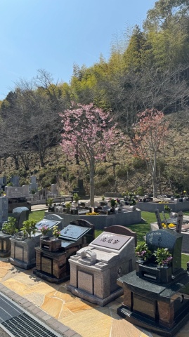 ������ɤ�ɤ��Ω��(^^)/