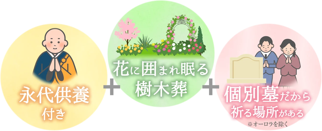 ̾����������3�Ĥ�̥�ϡ����嶡���դ����֤˰Ϥޤ�̲������򡿸���������鵧���꤬����