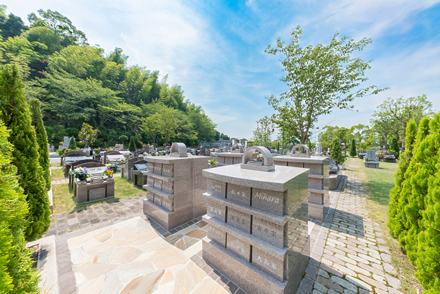 ����ץ�ǥ����� ������