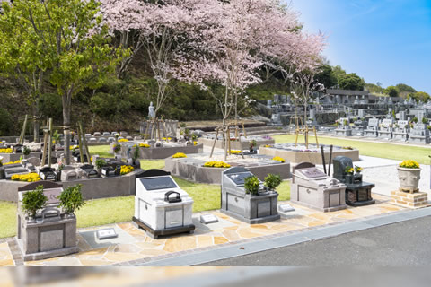 ���嶡�ܸĿ���ʤ���